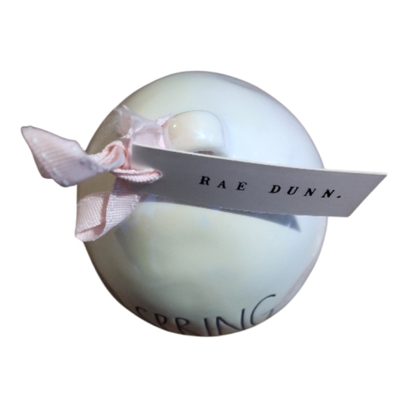 Rae Dunn Spring Chick Decorative Egg Artisan Collection - Picture 6 of 7